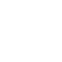 Connectivity icon
